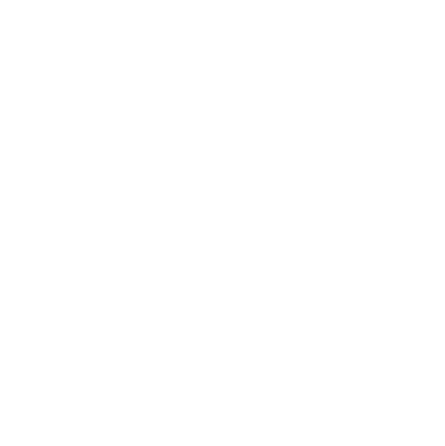 bed bug control