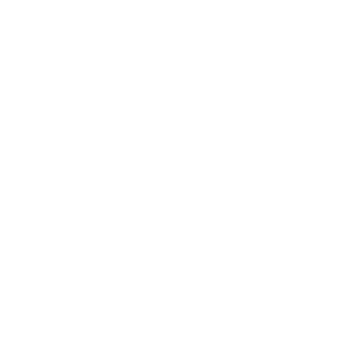 termite inspection